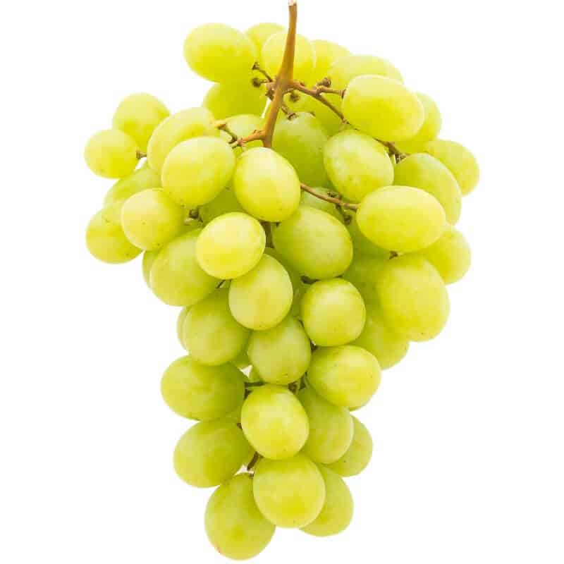 Organic Grape